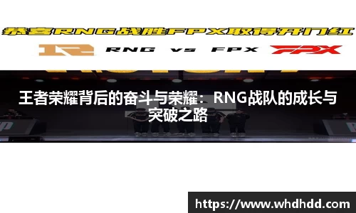 王者荣耀背后的奋斗与荣耀：RNG战队的成长与突破之路